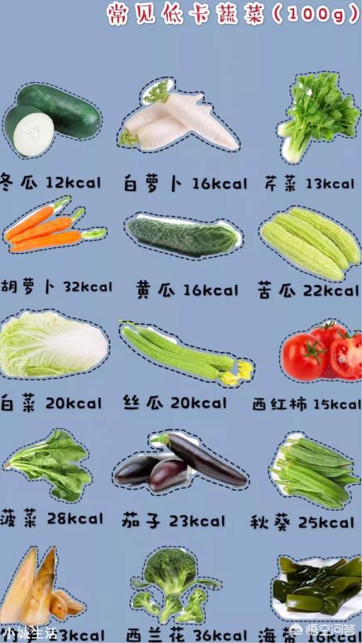 有哪些既能充饥、热量又低的食物？