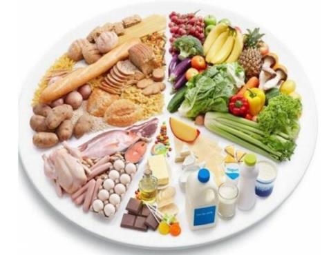 有哪些既能充饥、热量又低的食物？