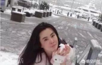 如何评价王祖贤？