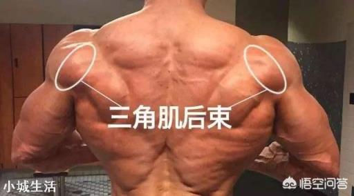 如何有效练肩？