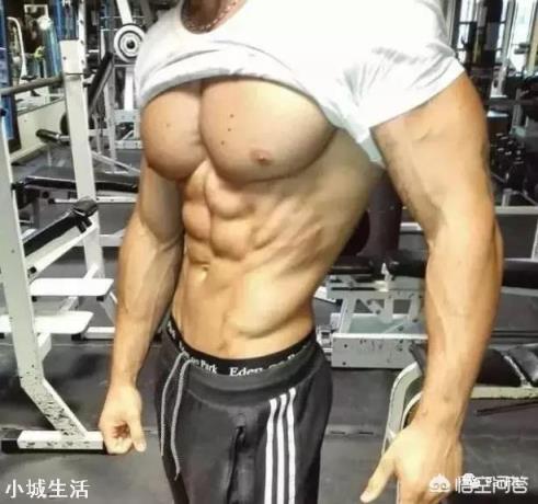 肱三头肌有哪些强大的锻炼方法?