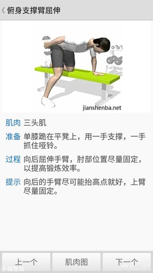 肱三头肌有哪些强大的锻炼方法?