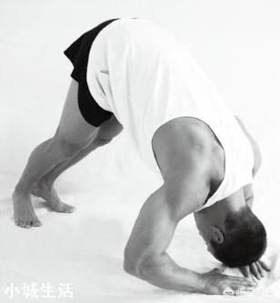 肱三头肌有哪些强大的锻炼方法?