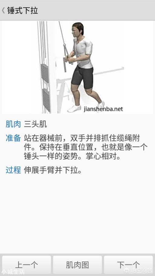 肱三头肌有哪些强大的锻炼方法?
