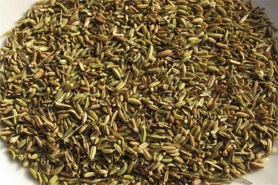 茴香籽怎么吃