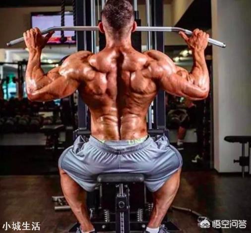 怎么锻炼背部肌肉呢？