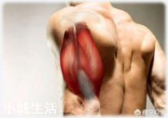 怎样用双杠臂屈练好胸肌和三角肌?