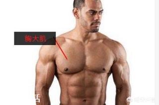 怎样用双杠臂屈练好胸肌和三角肌?