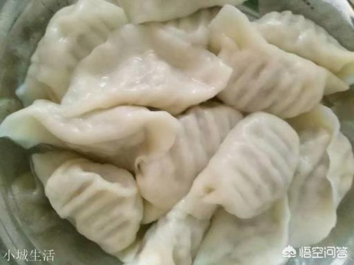 饺子馅里到底该不该加水，为什么？