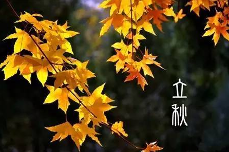 立秋后怎么养生 立秋后还睡凉席可以吗