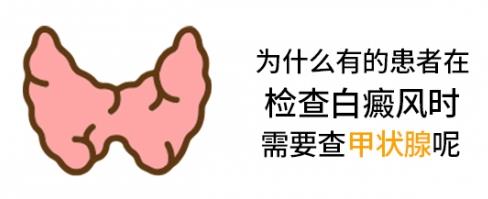 白癜风医生雷安萍：为什么有的患者在检查白癜风时需要查甲状腺呢