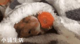 如何控制饮食，达到减肥的目的？