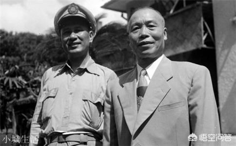 李宗仁有什么政治成就？