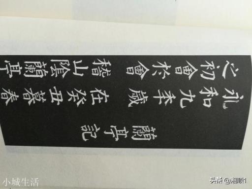 学了王羲之的书法后还要学赵孟頫的吗?