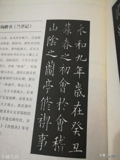 学了王羲之的书法后还要学赵孟頫的吗?