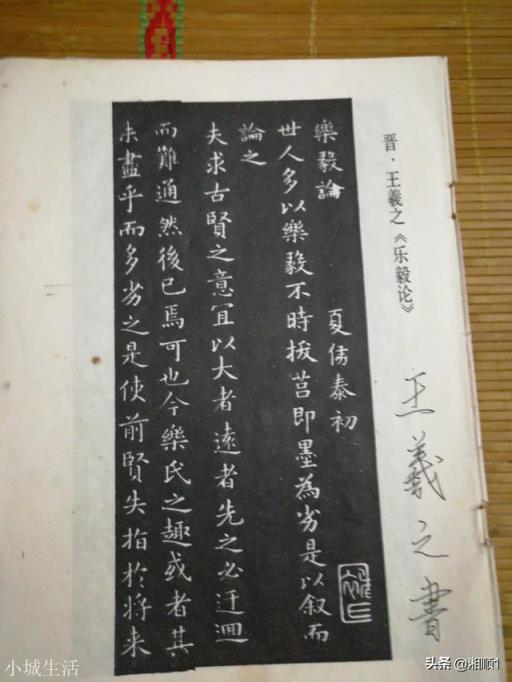 学了王羲之的书法后还要学赵孟頫的吗?