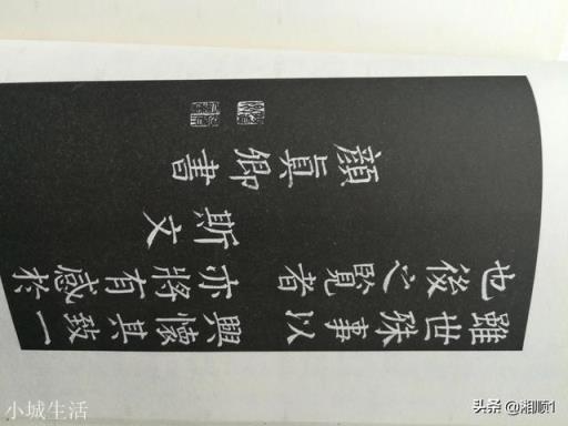学了王羲之的书法后还要学赵孟頫的吗?