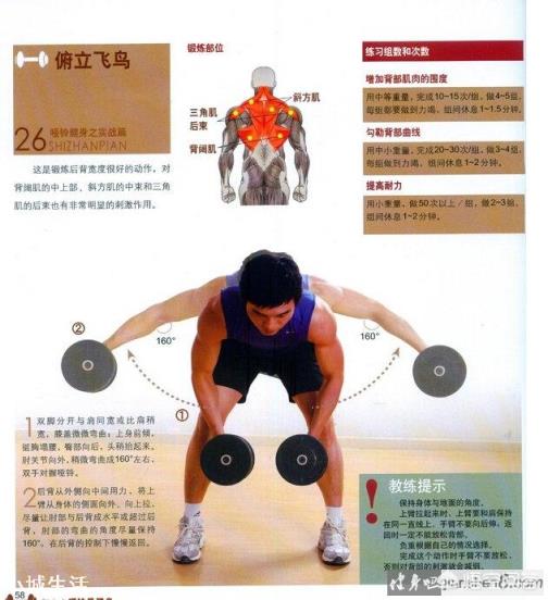 哑铃飞鸟的核心点在哪？