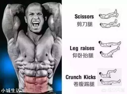 除了卷腹，还有哪些腹肌训练动作，负重的有哪些？