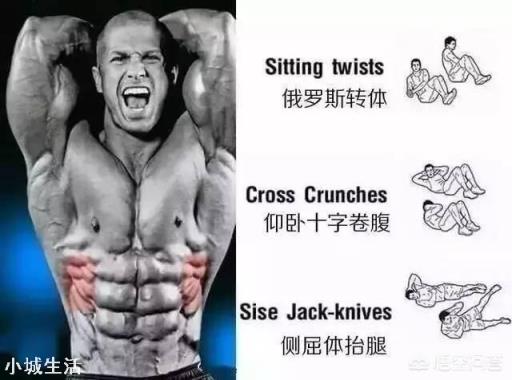 除了卷腹，还有哪些腹肌训练动作，负重的有哪些？