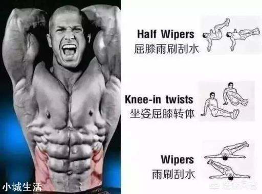 除了卷腹，还有哪些腹肌训练动作，负重的有哪些？