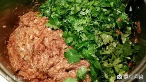 怎样做好羊肉陷的饺子呢？