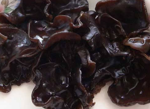 木耳煮熟后可以放多久