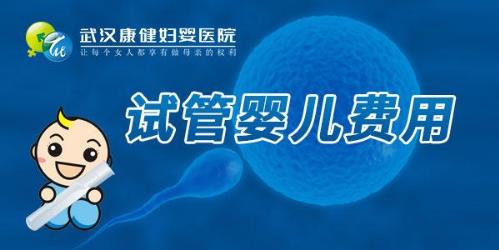 武汉康健弓爱东：试管婴儿大概多少钱和什么有关？