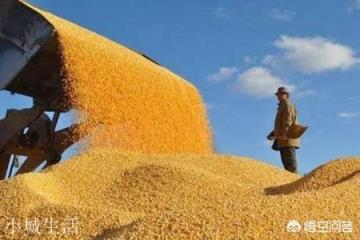 为啥古代军队平时也要吃饭，一打起战就喊缺粮？