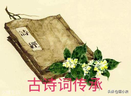 小时候只要求背古诗,但却没教我们怎么作诗?古诗大赛也只有背诗,传承上是不是有问题了?