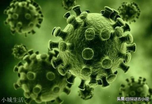 一个想法，也许病毒本身也是智能生物。而且智慧的层次更高阶，它们本就是这个地球的统治者。有这种可能吗？