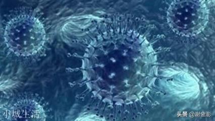 一个想法，也许病毒本身也是智能生物。而且智慧的层次更高阶，它们本就是这个地球的统治者。有这种可能吗？