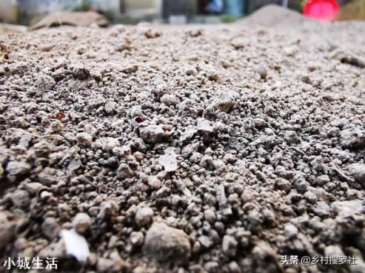 微生物菌剂如何促进根系生长？