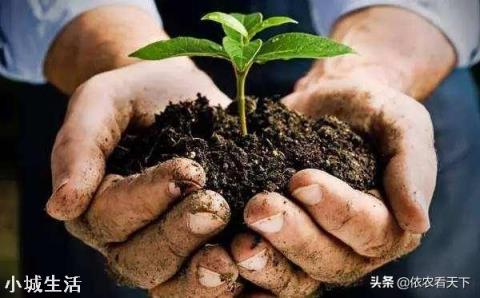 微生物菌剂如何促进根系生长？
