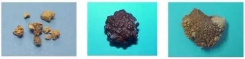 宠物夏季多饮水 降低爱宠患结石的风险！