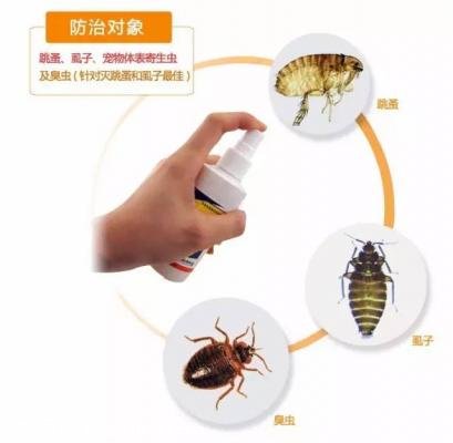 疯狂吸血一夏的跳蚤,在什么温度下才不会再生祸害?