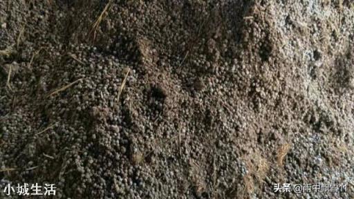 锯末怎样做养花土？