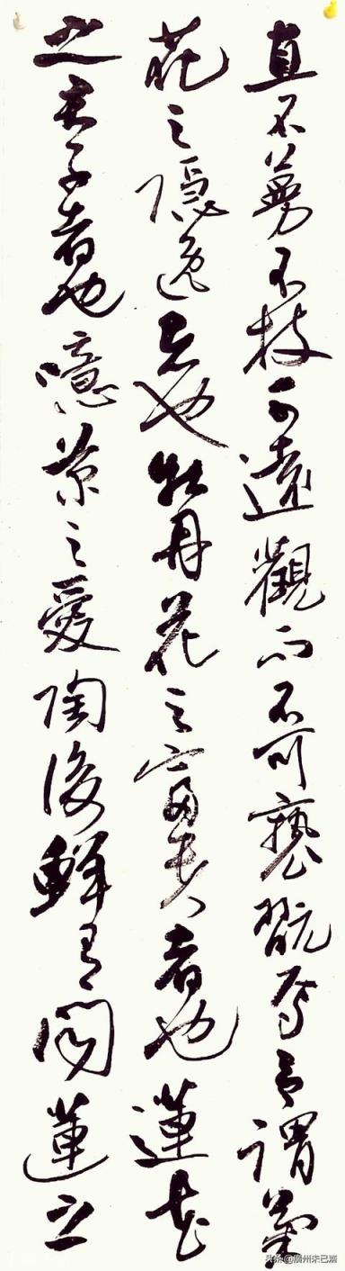能否谈谈对中书协及其会员书法水平的看法？