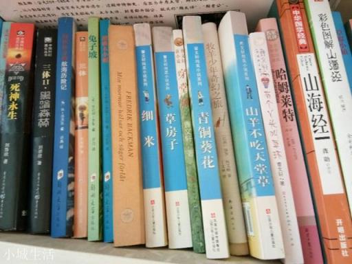 我儿子10岁半了，阅读量超前，双十一到了，能推荐一些好书吗？感谢？