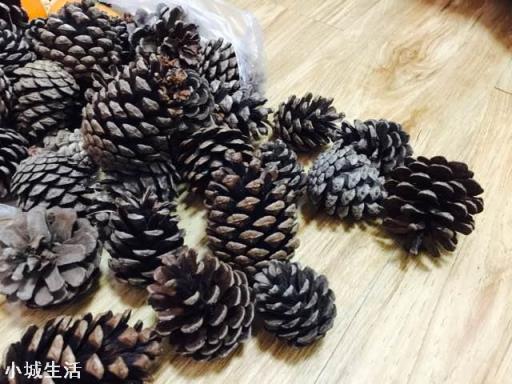 用松塔墊花盆行嗎？