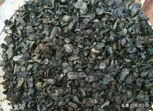 用松塔墊花盆行嗎？