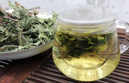根是否能泡水喝 蒲公英的