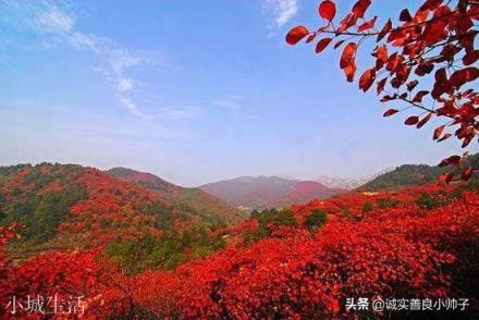 北京哪里红叶好，适合旅游？