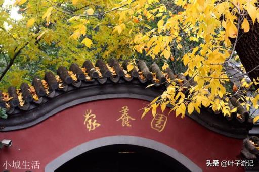 北京哪里红叶好，适合旅游？