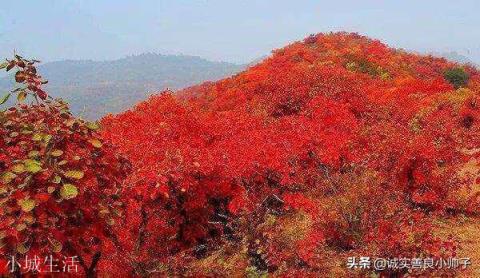 北京哪里红叶好，适合旅游？