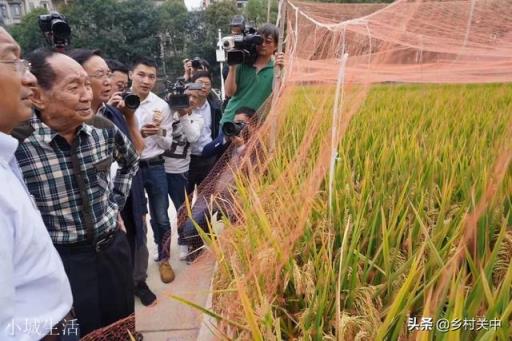 多国出现粮荒,作为世界第一粮食进口国百姓,为何我们没感觉?