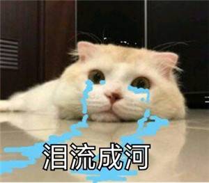 电信停复机多久之后销号 电信卡停机多久被注销