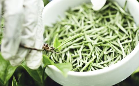 【苦丁栀子红巧梅茶的功效】苦丁栀子红巧梅茶的泡法及功效