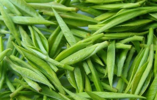 10种减肥食材让你得到最完美身材 不用节食还能减肥