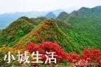 怎样养映山红花多?
